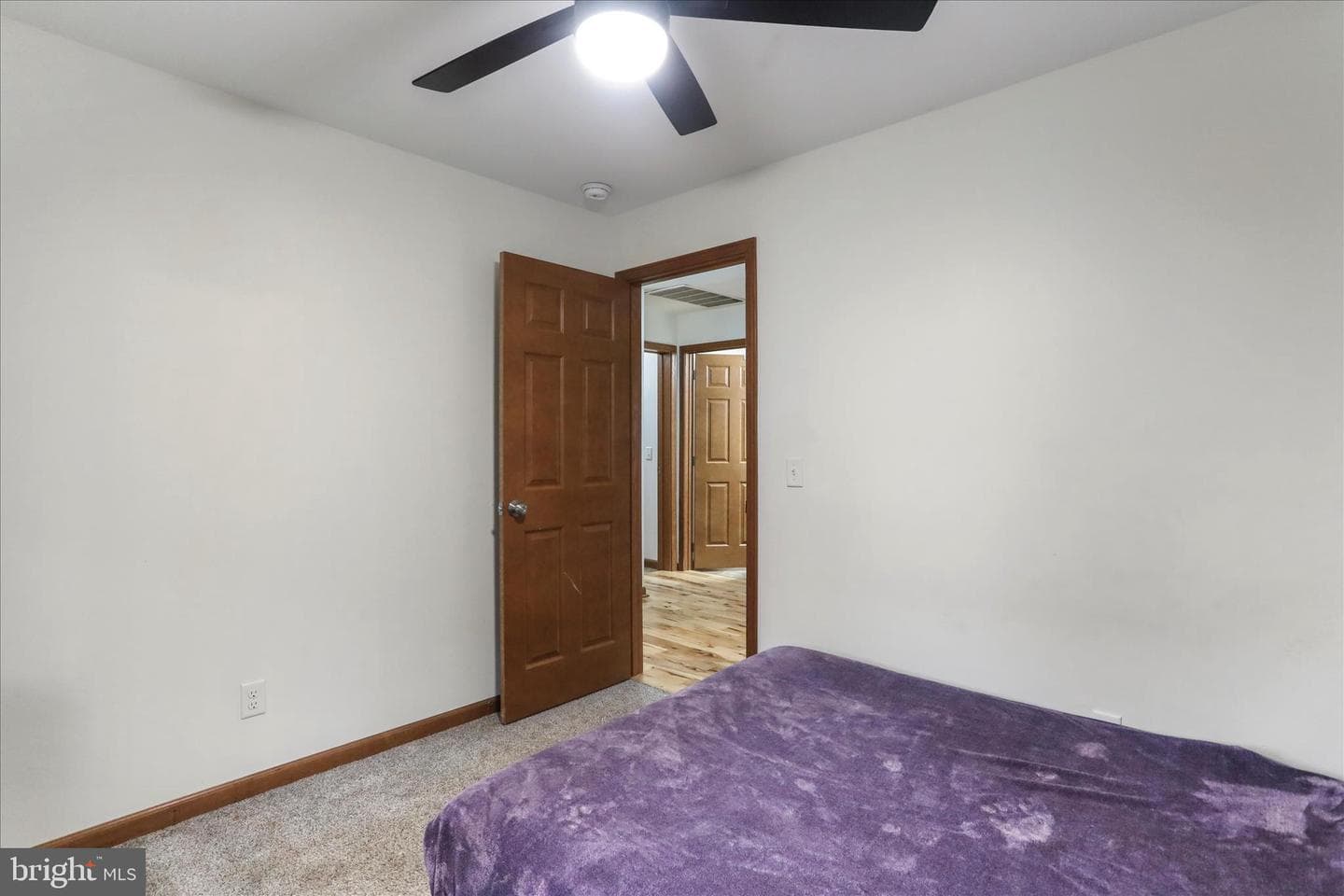 135 Carter Avenue photo 26