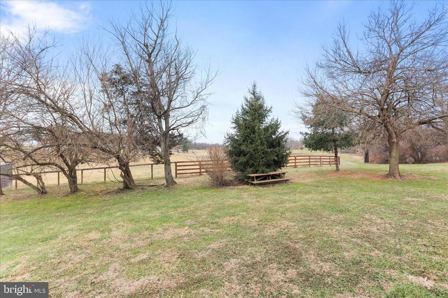 135 Carter Avenue photo 39