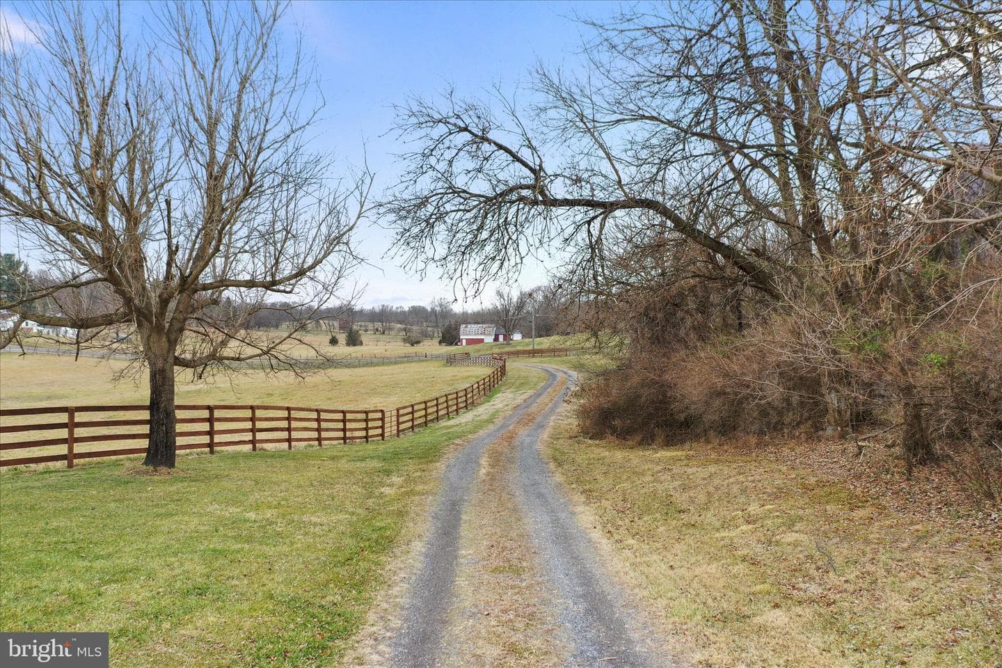 135 Carter Avenue photo 63