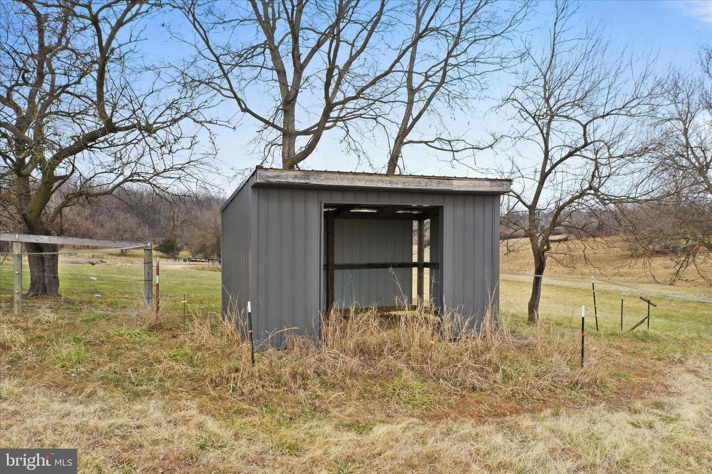 135 Carter Avenue photo 64