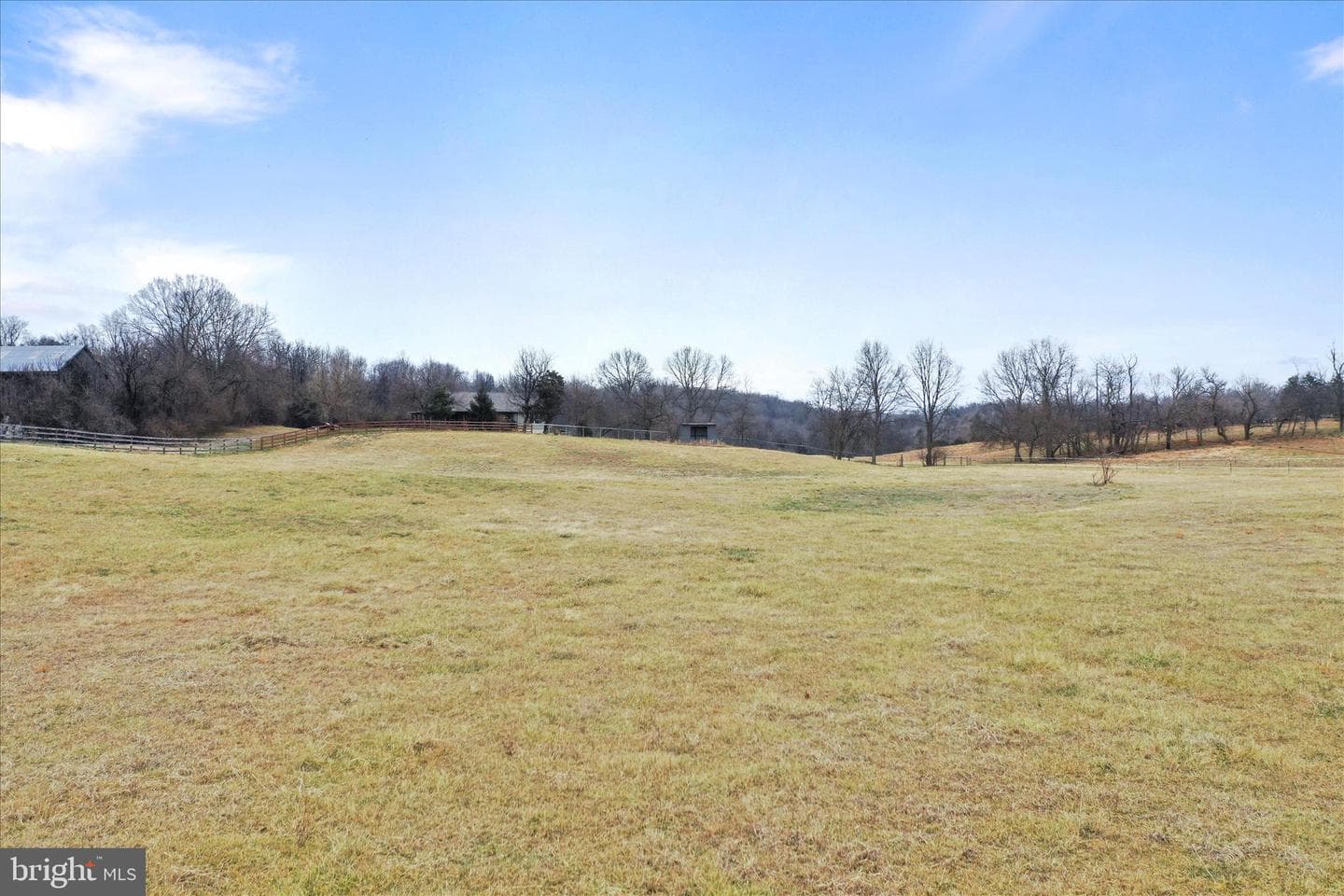 135 Carter Avenue photo 66