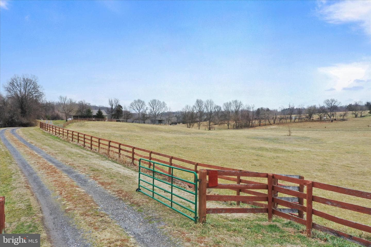 135 Carter Avenue photo 69