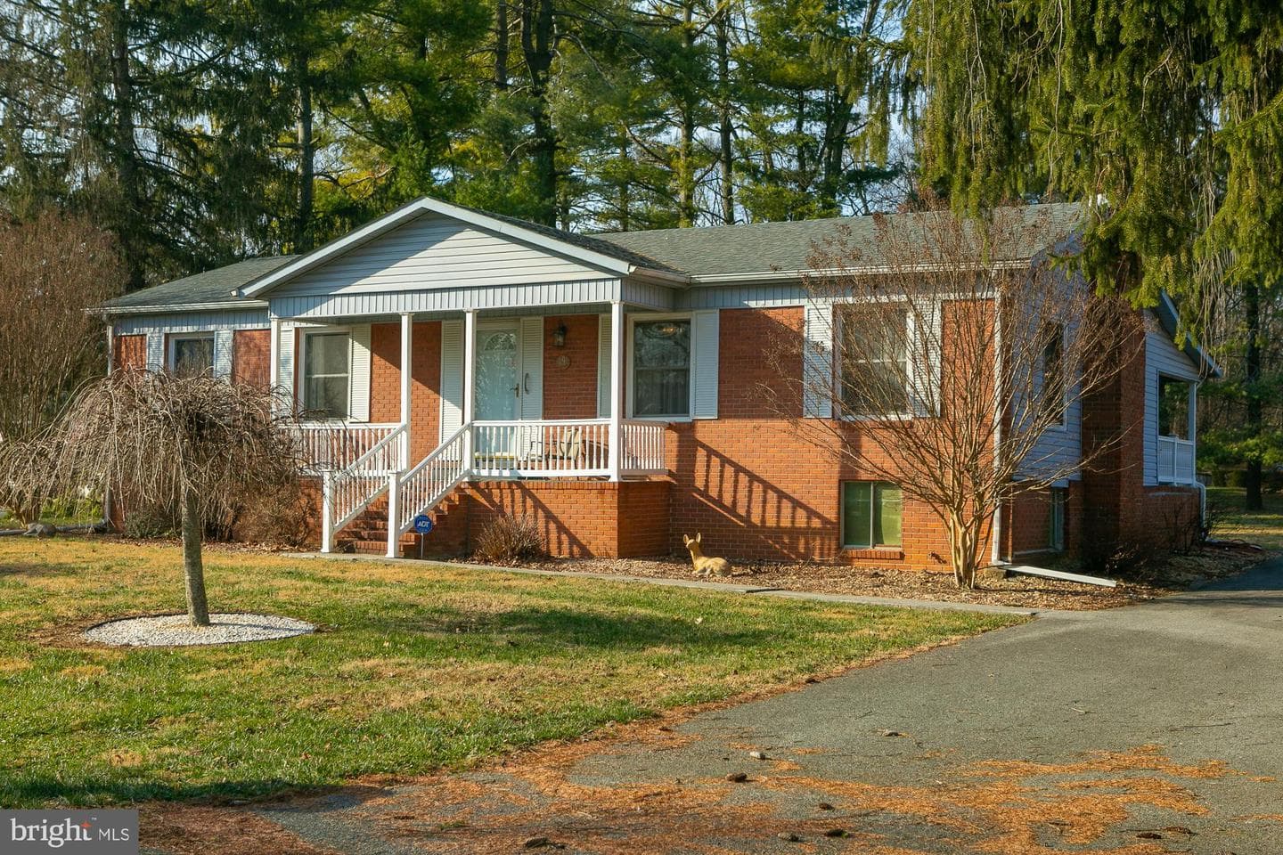 19 Cardinal Drive photo 10