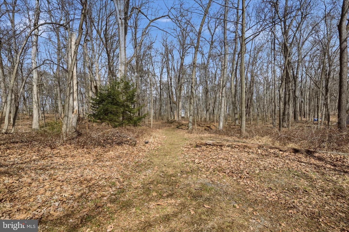 845 Whitmer Road photo 49