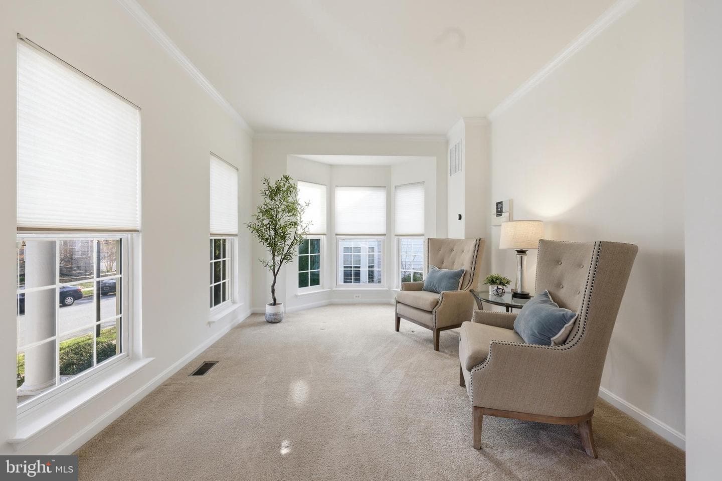 51 Battlefield Drive photo 6
