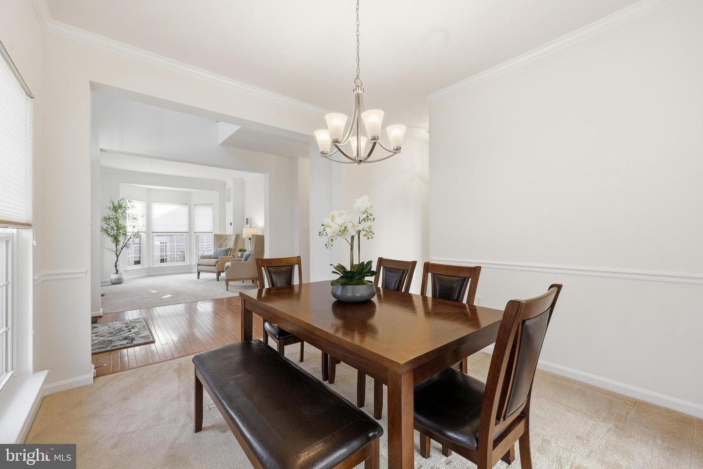 51 Battlefield Drive photo 7