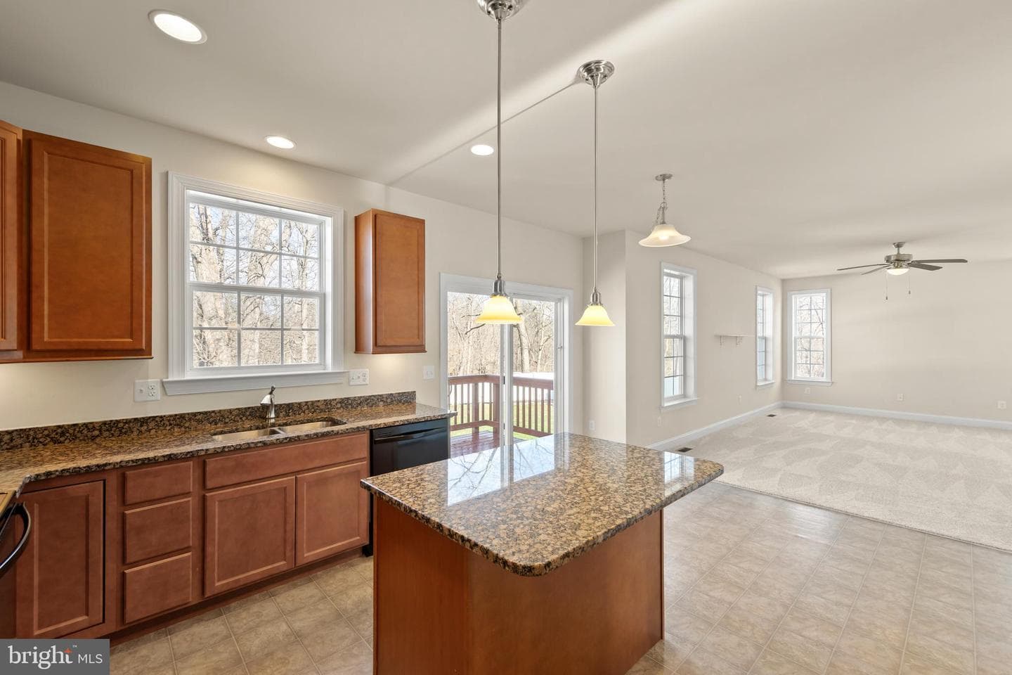 18 Summer Grove Drive photo 9