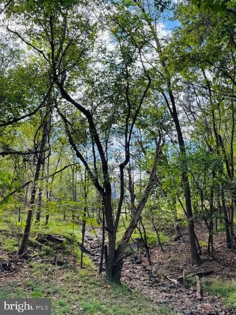 115 Old Furnace Road photo 28