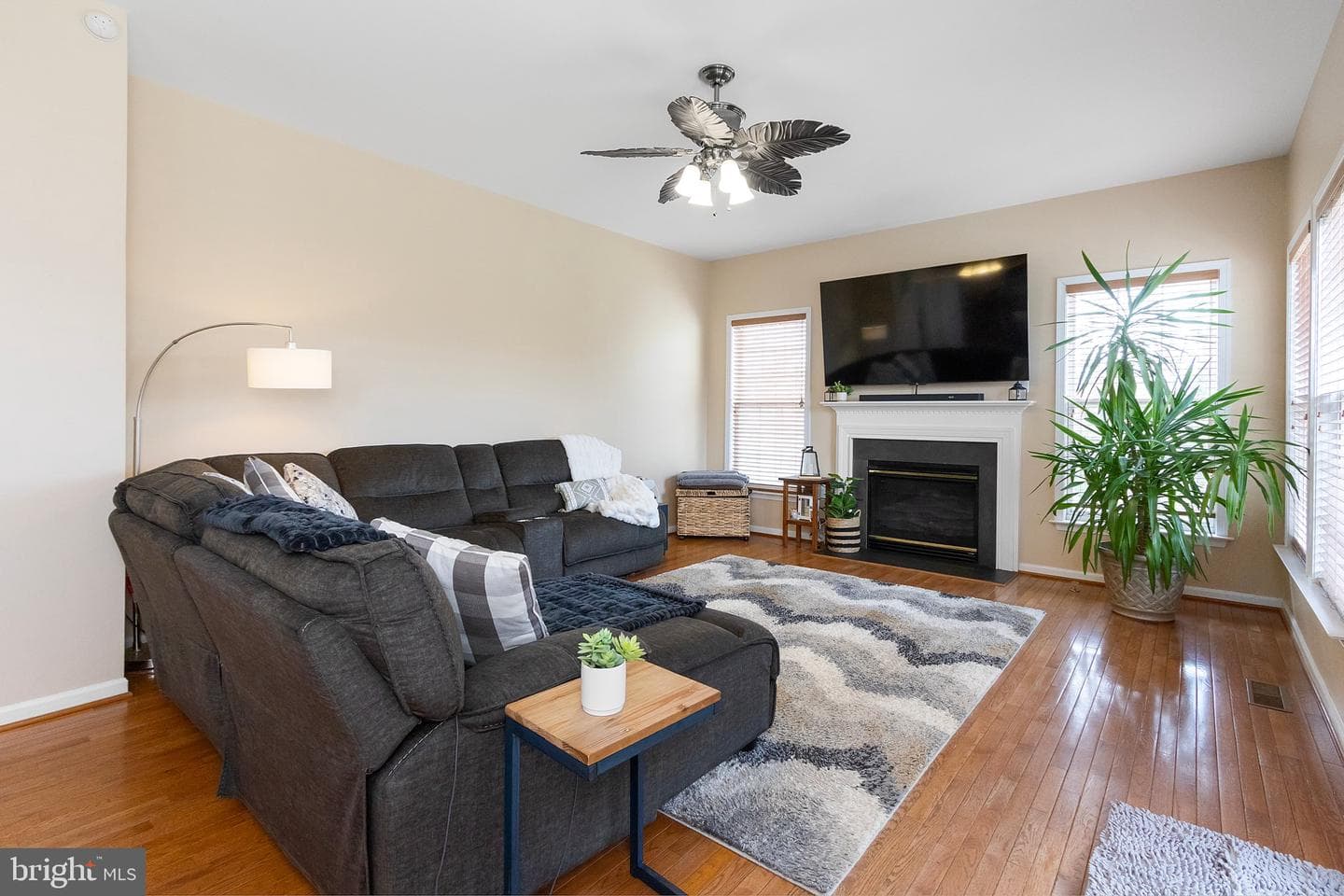 317 Stratus Dr photo 57