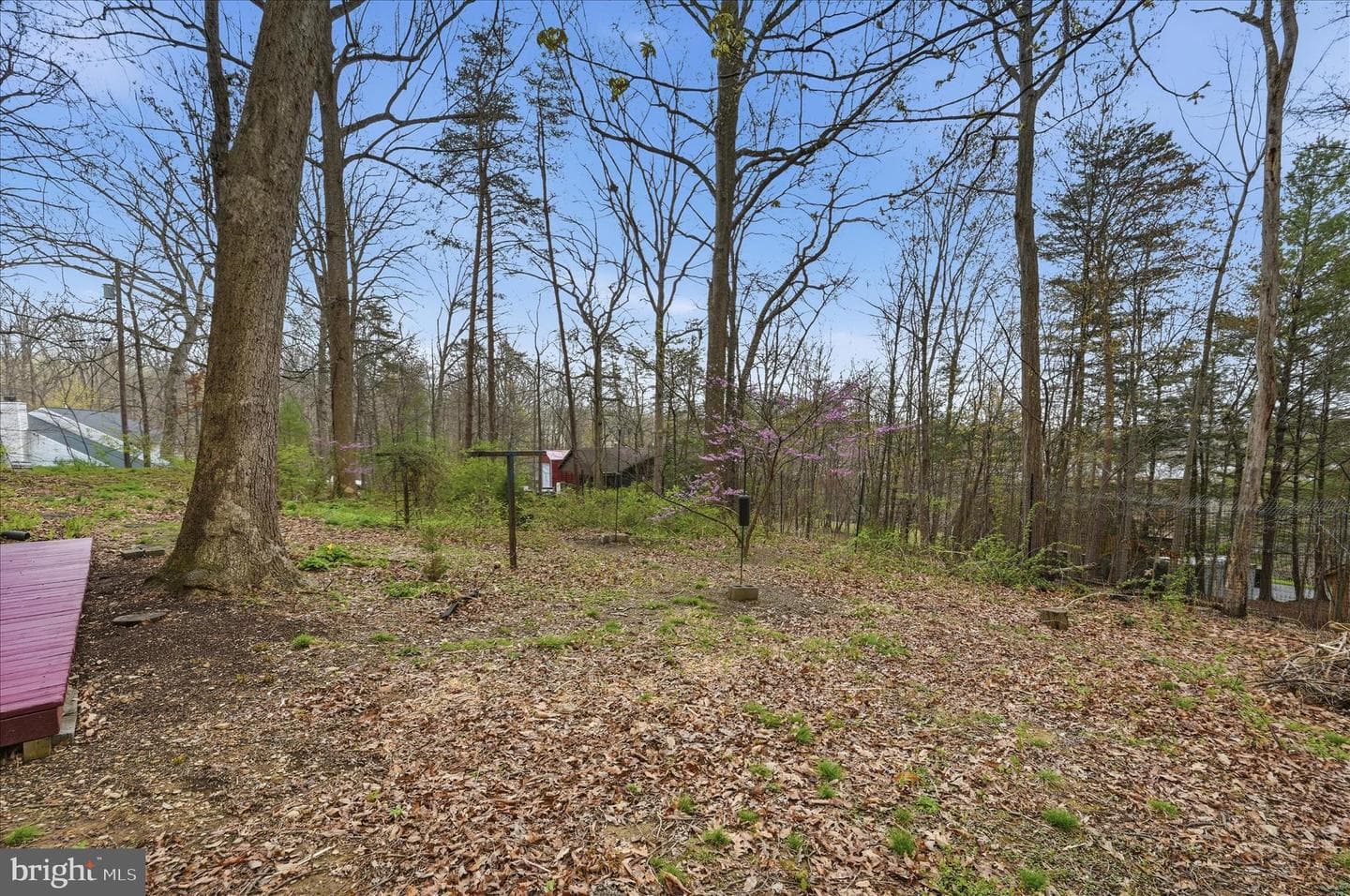 175 Fern Drive photo 60