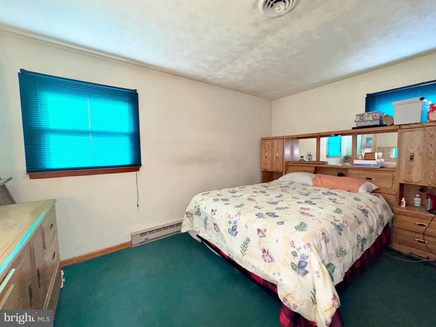 133 Lemon Road photo 16
