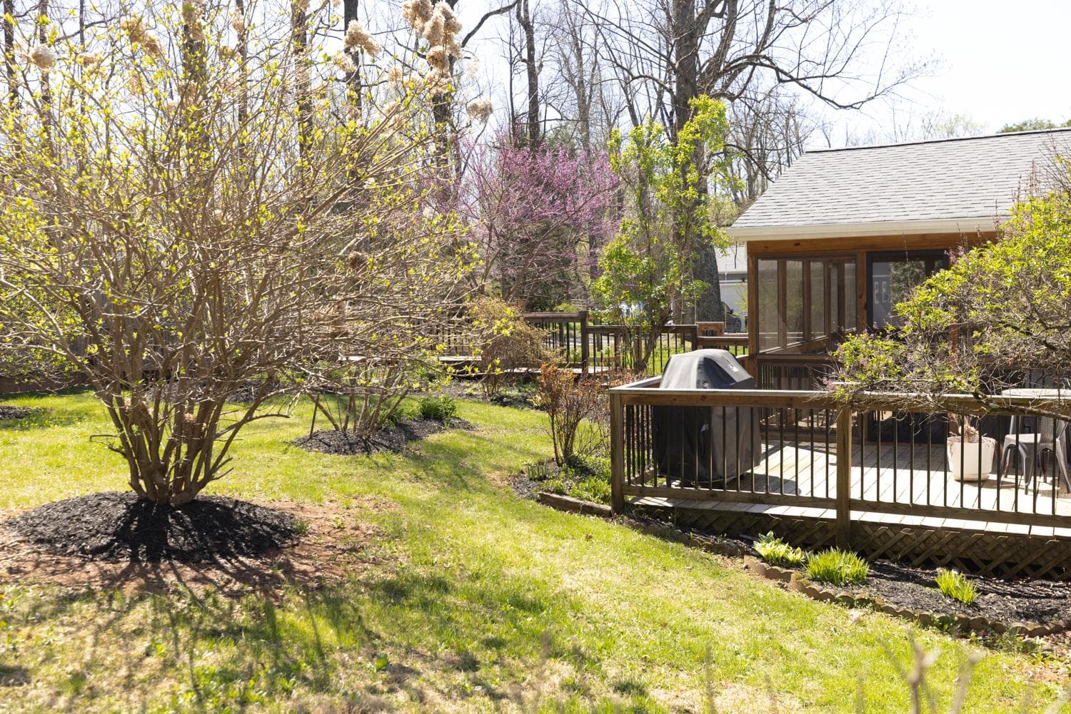 34185 Ahalt Drive photo 46