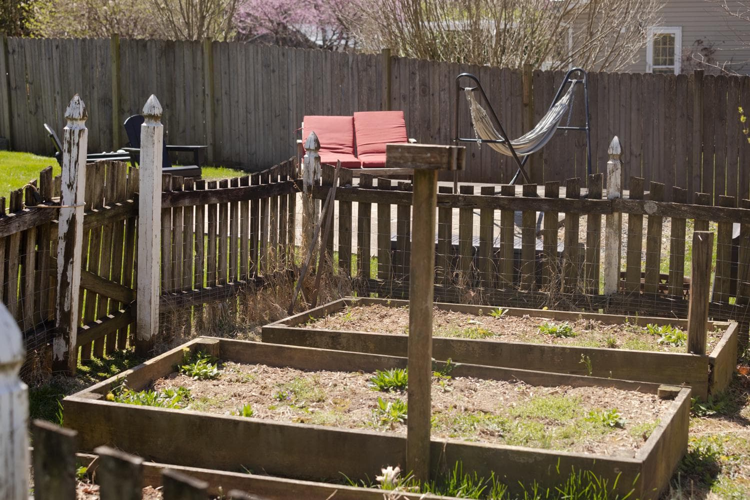34185 Ahalt Drive photo 54