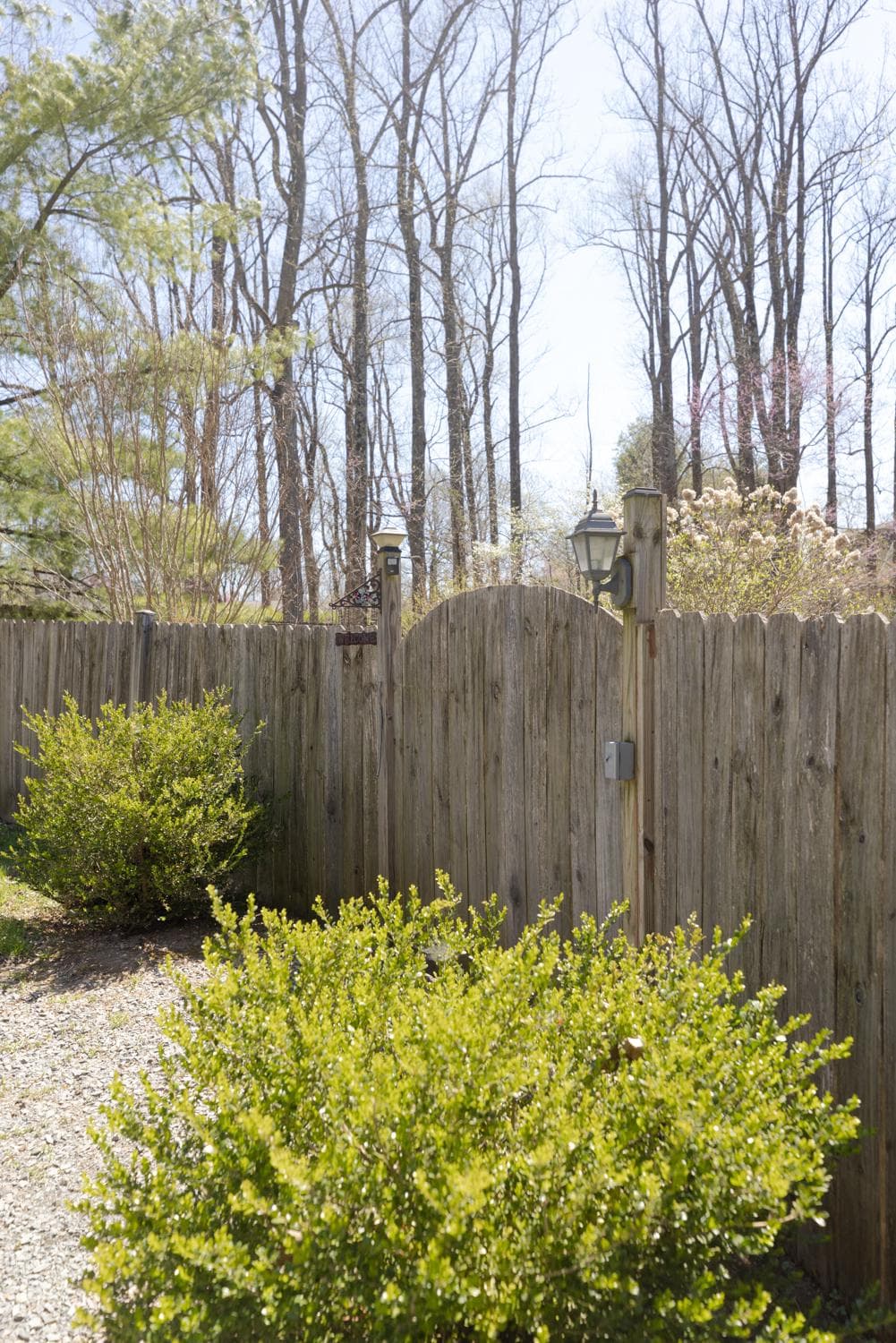 34185 Ahalt Drive photo 59