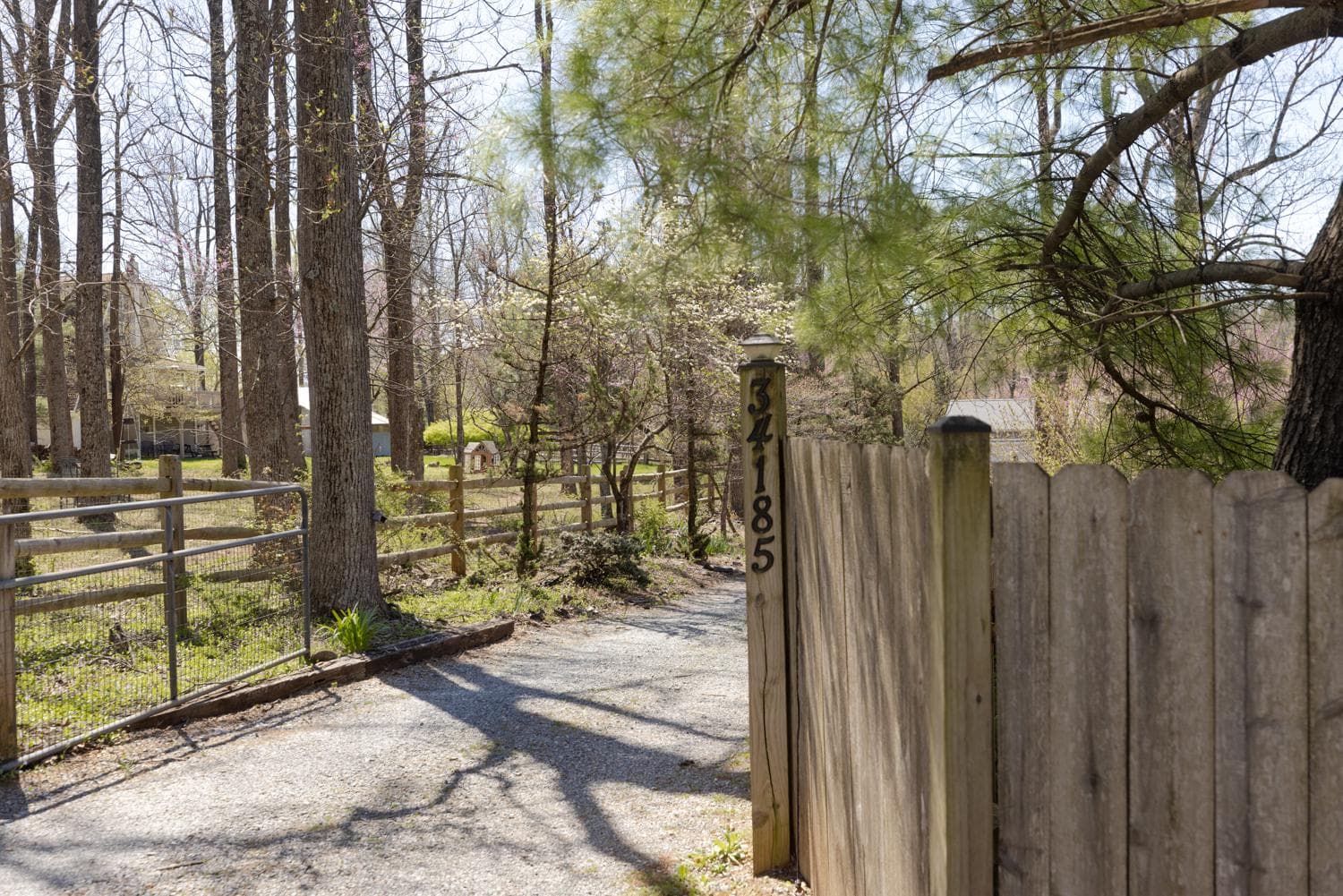 34185 Ahalt Drive photo 61