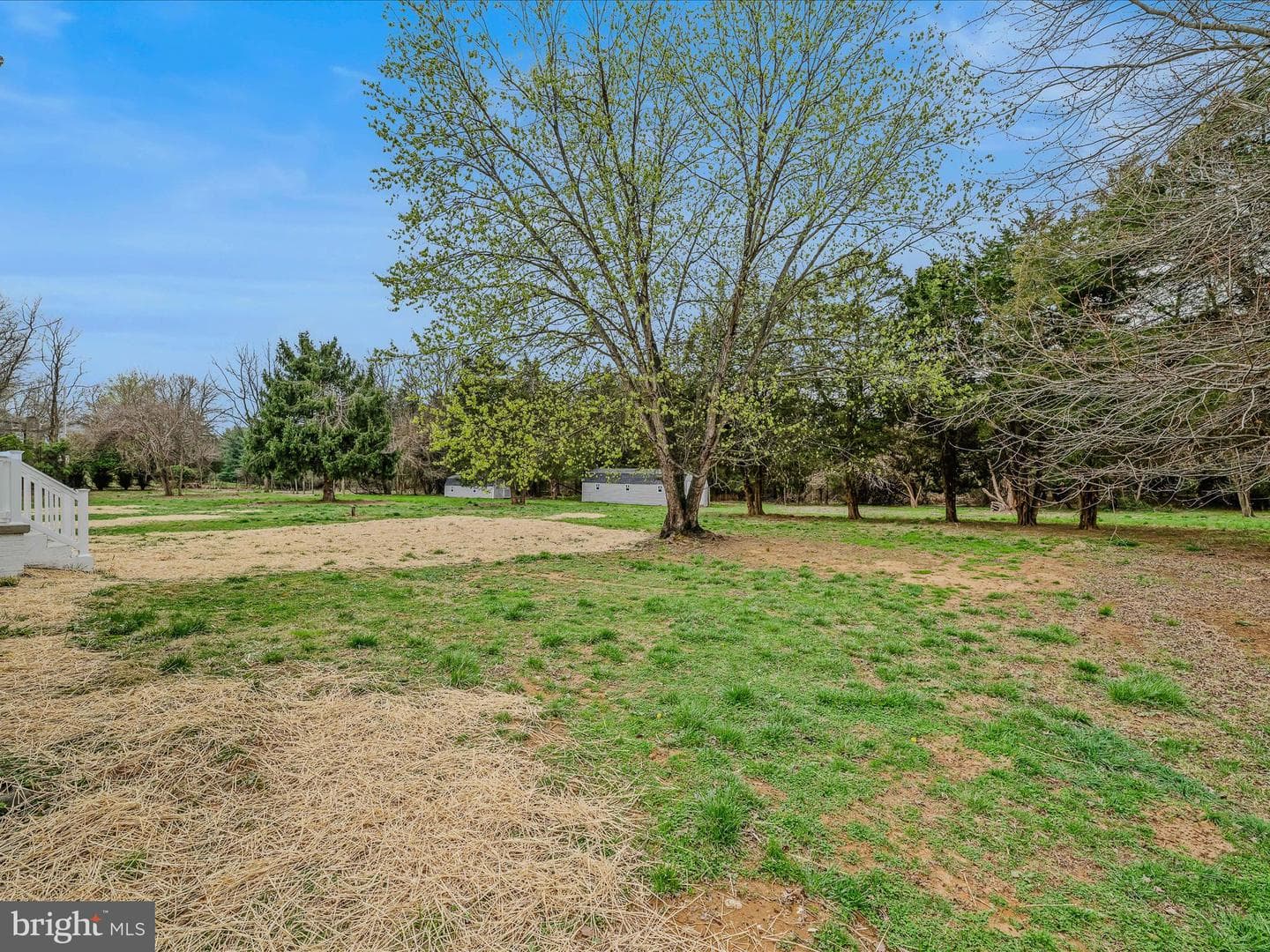 89 Morgan Grove Road photo 6