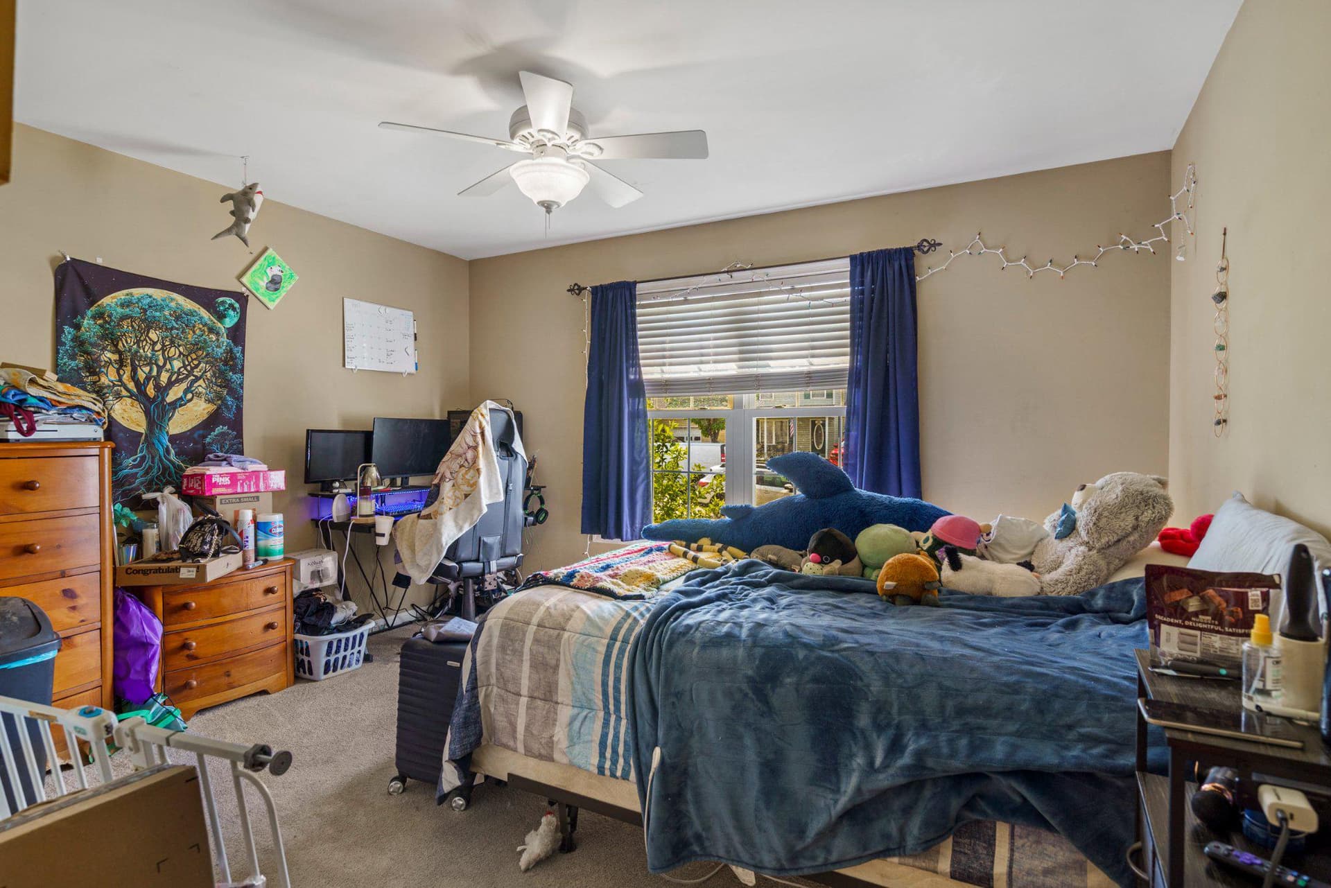 120 Peter Rabbit Drive photo 6