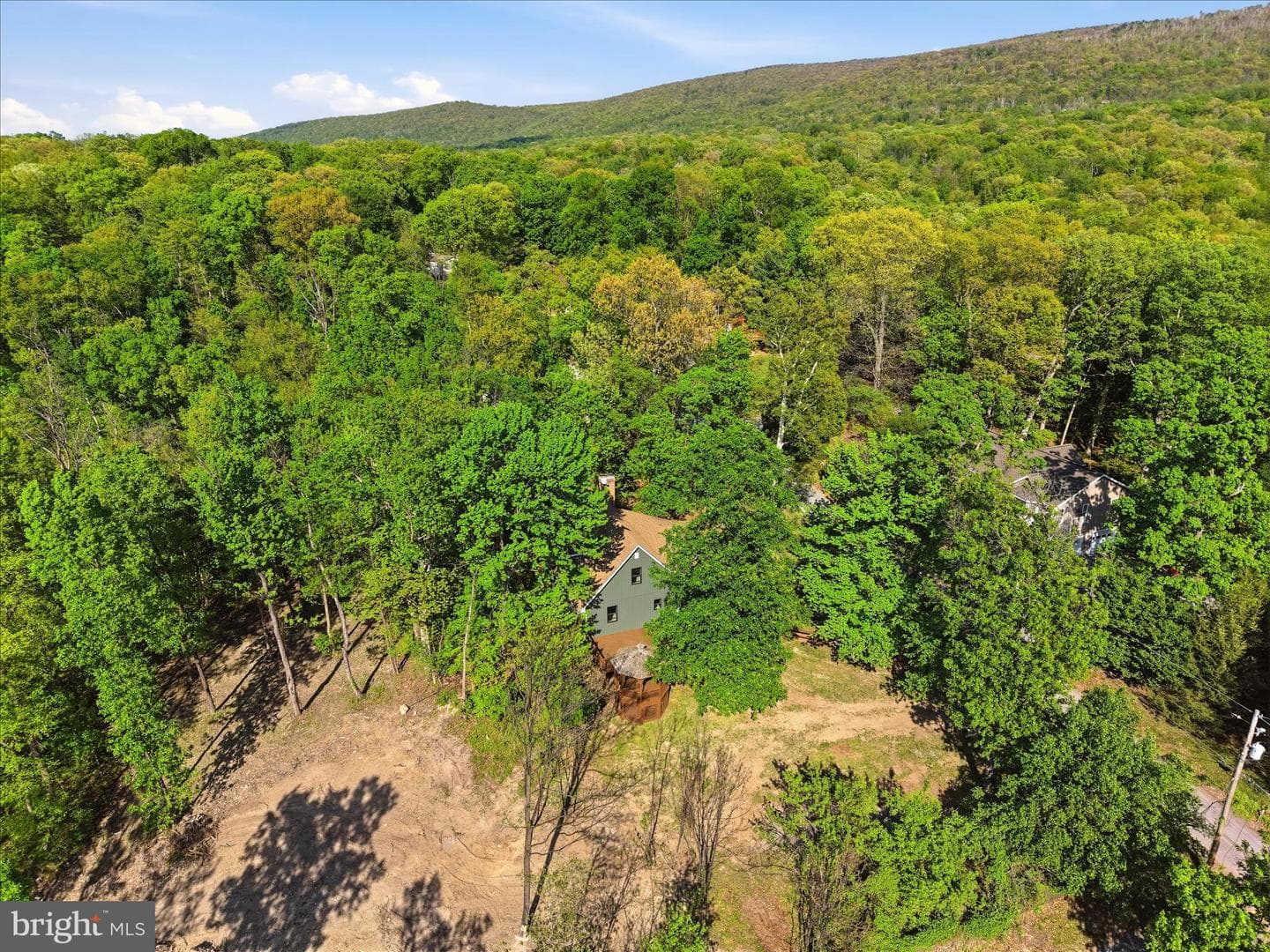 293 Red Bird Lane photo 58
