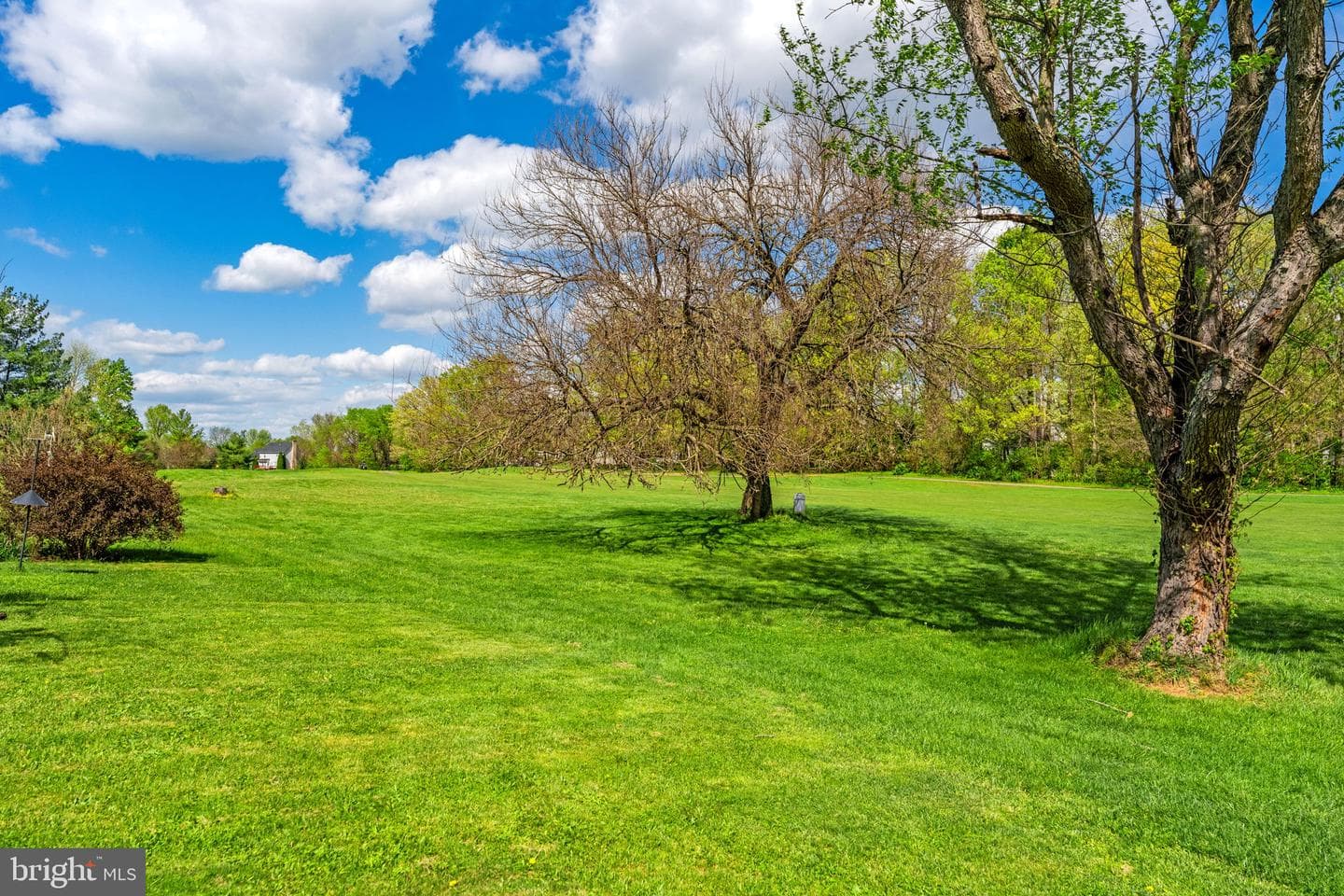 173 Baltusrol Drive photo 43
