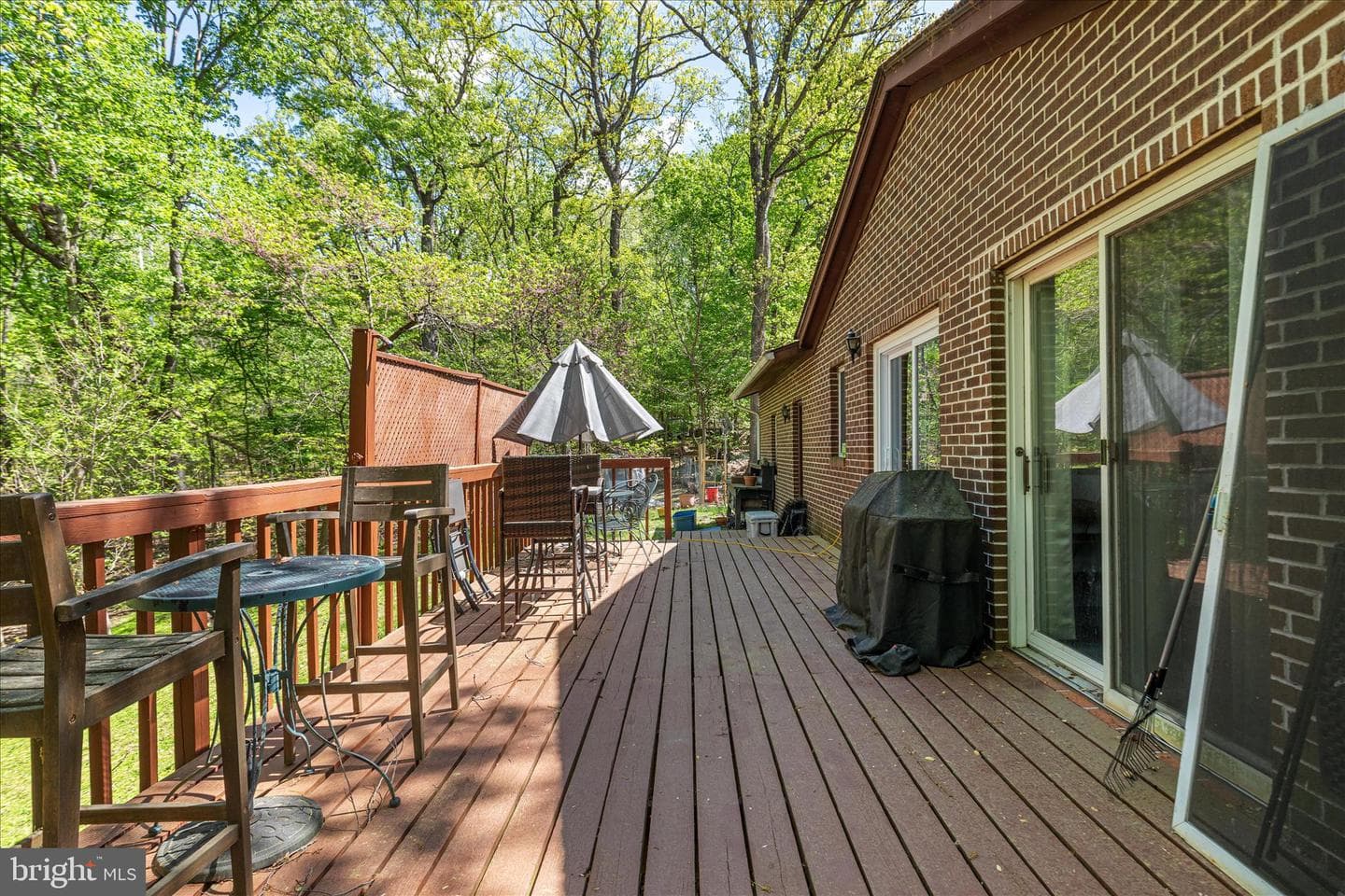 21 Chestnut Place photo 35
