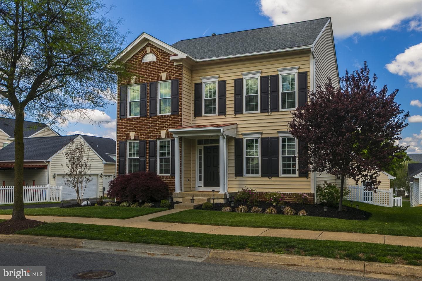 334 Calmes Street photo 68