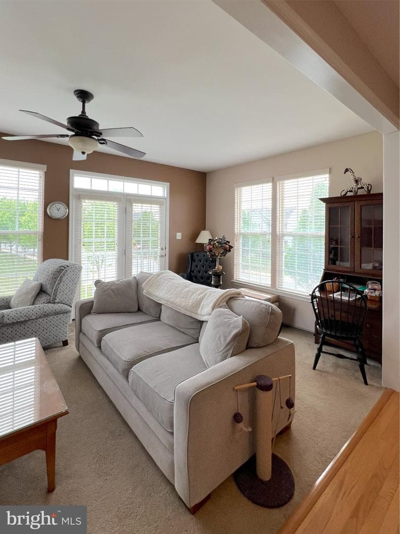 29 Baltic Lane photo 18