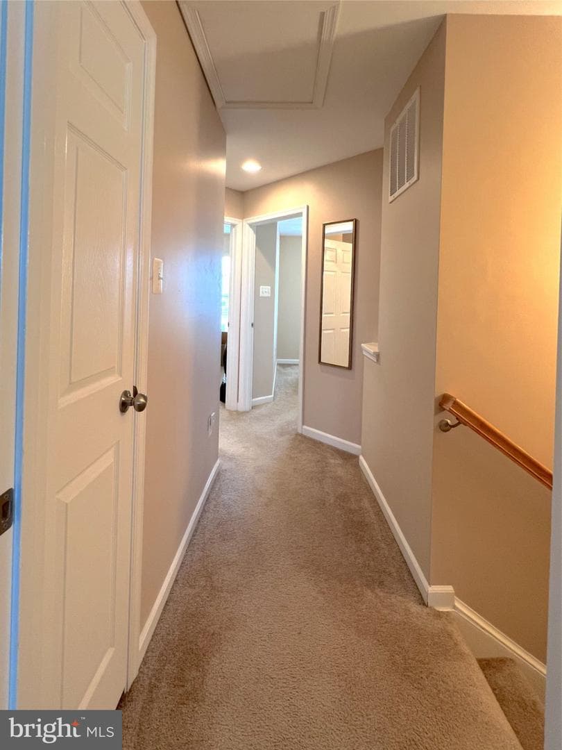 29 Baltic Lane photo 34