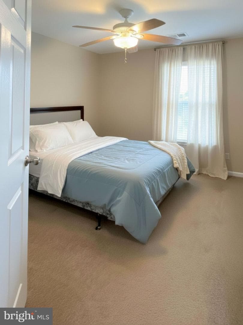 29 Baltic Lane photo 37