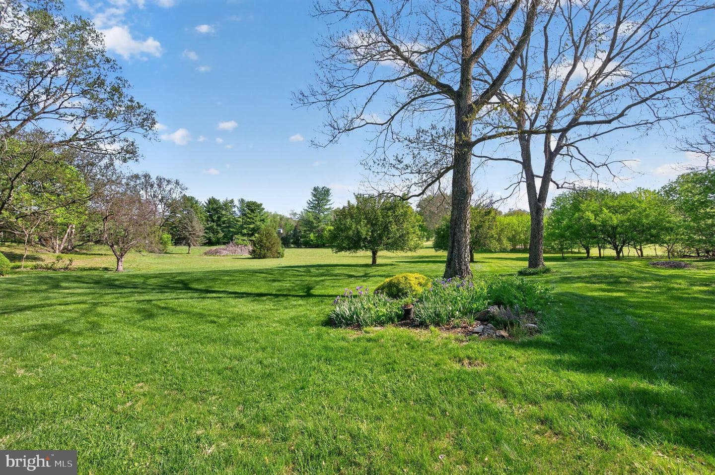 250 Meadow Ridge Drive photo 35