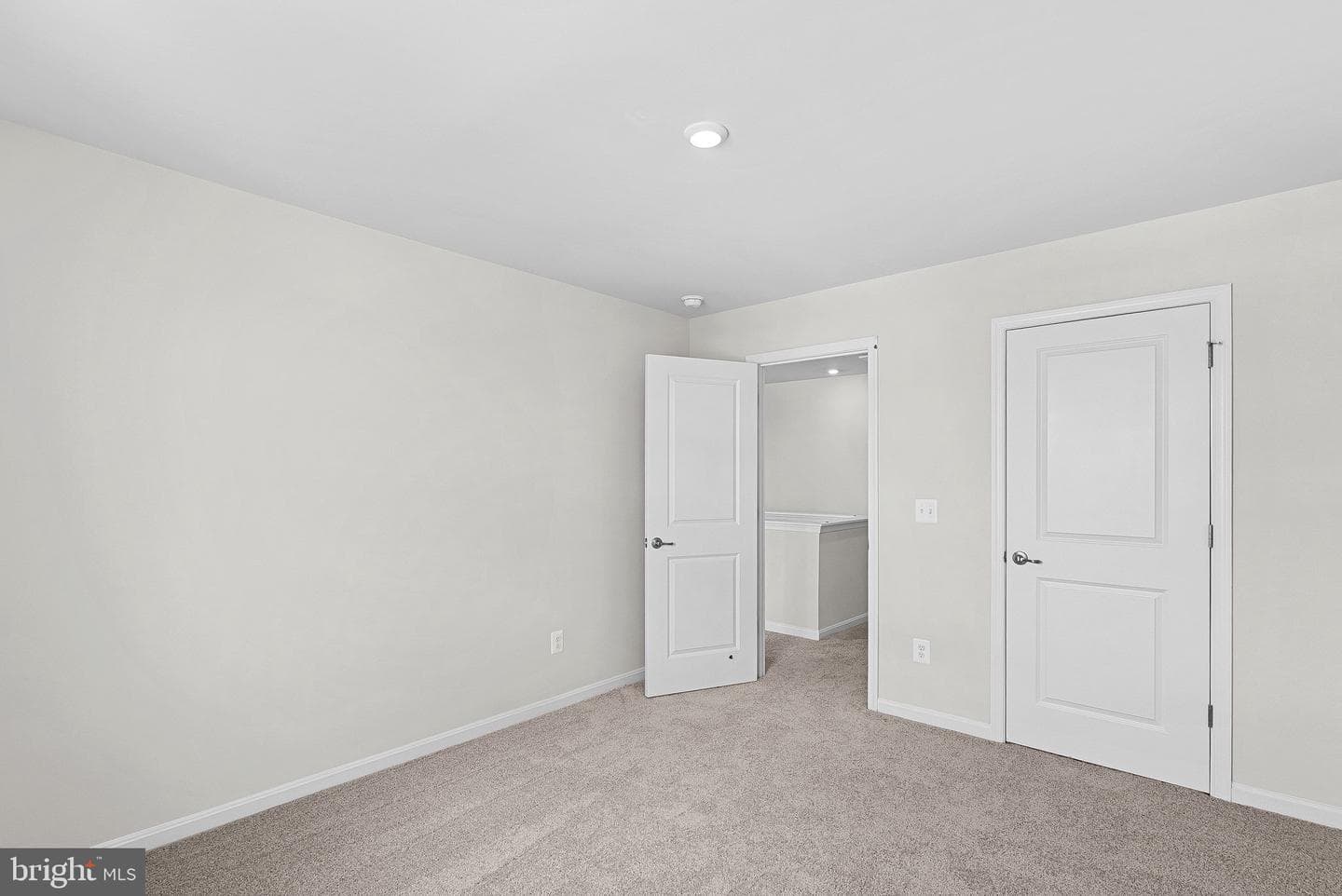 6 Freeman Street photo 47
