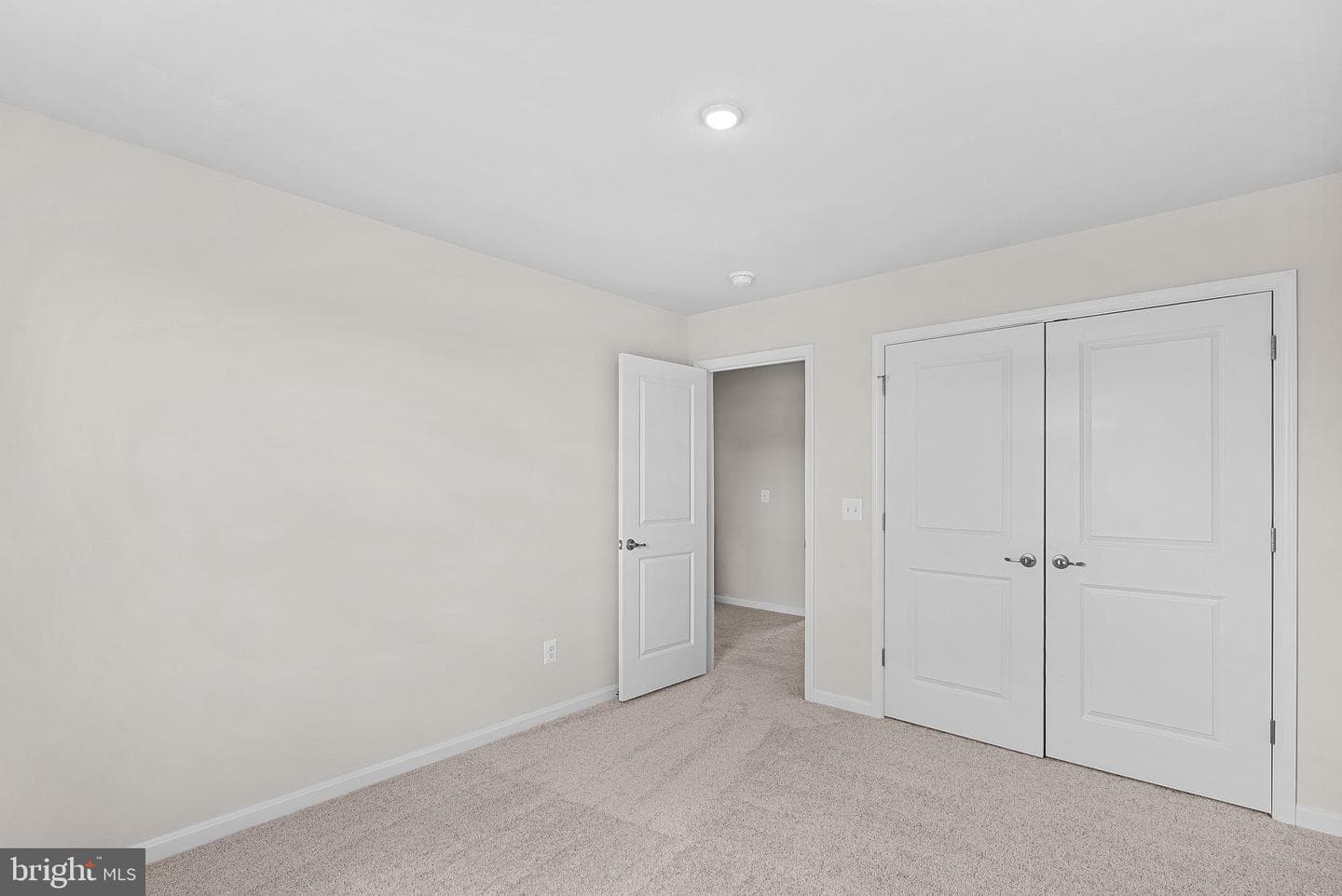 8 Freeman Street photo 38