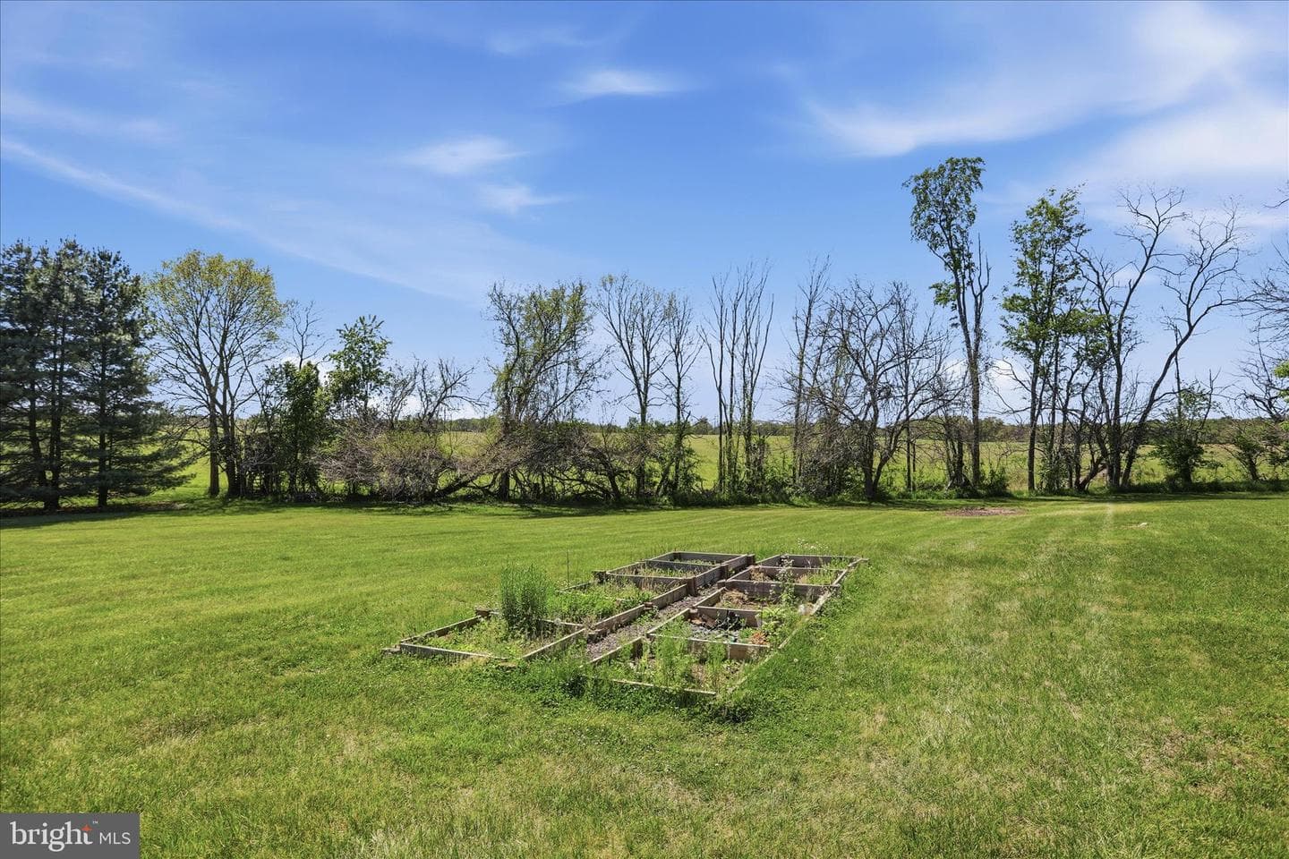 44 Belmont Court photo 54