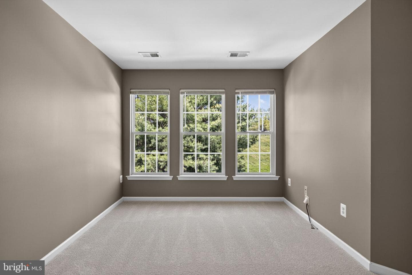 159 Riparian Lane photo 49