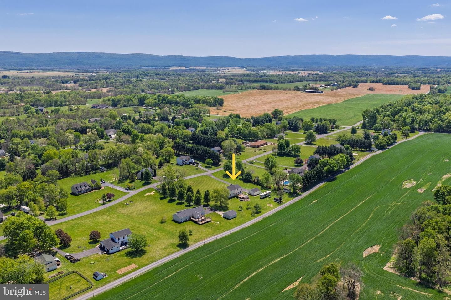 229 Quail Run Road photo 4