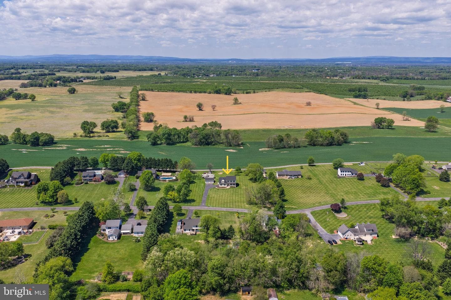 229 Quail Run Road photo 5