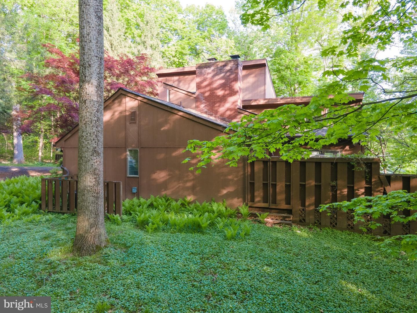 1223 Steamboat Run Road photo 8