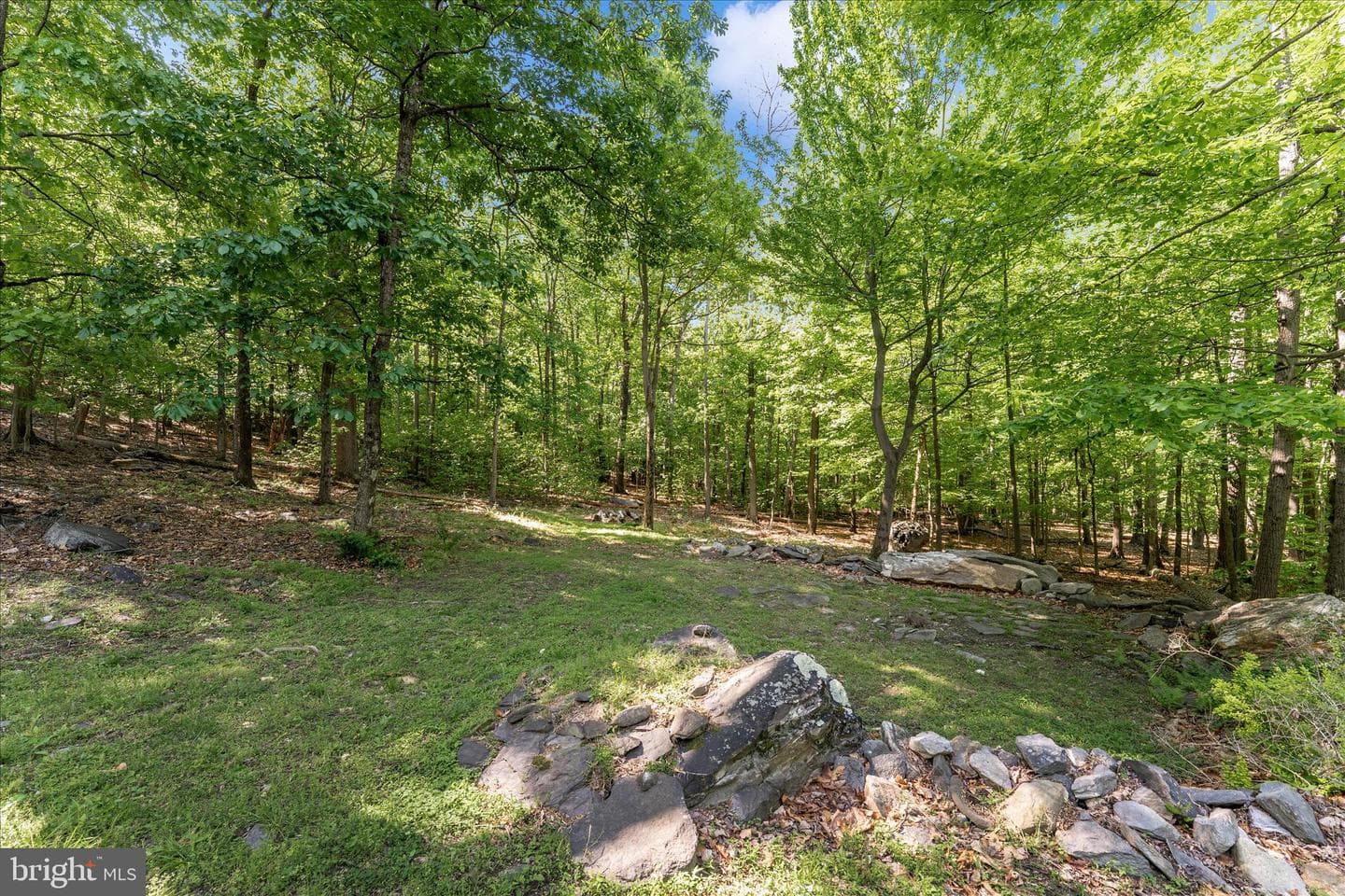 180 Mountain Dew Court photo 52