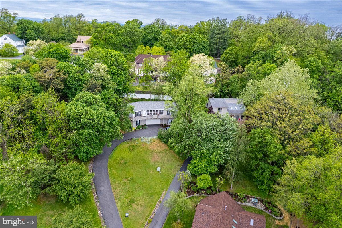 45 Carter Lane photo 39