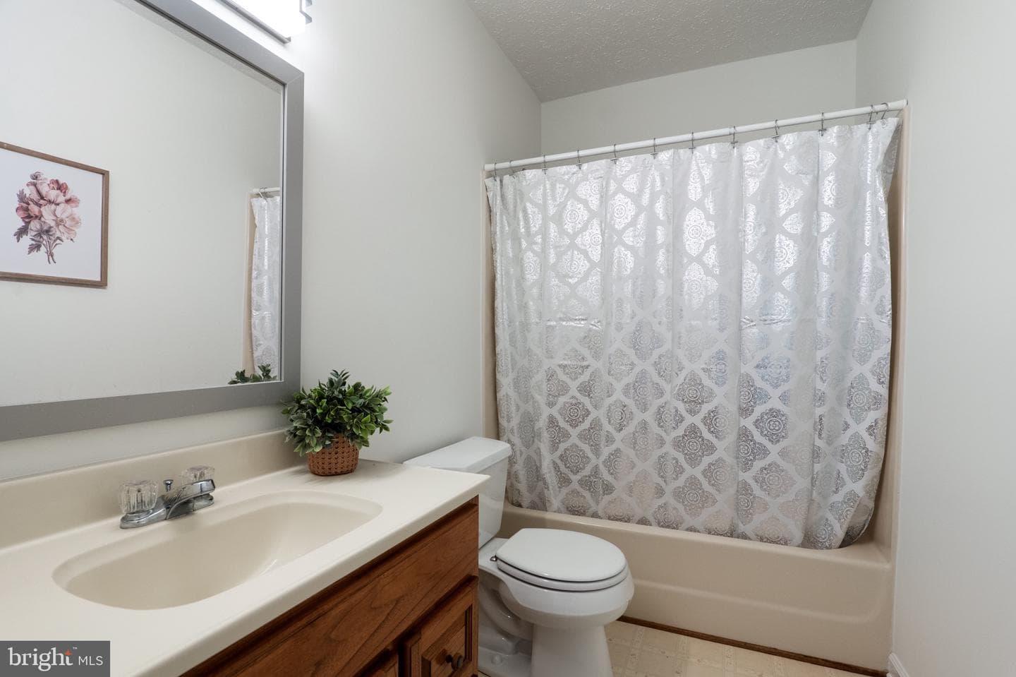 225 Cedar Creek Drive photo 12
