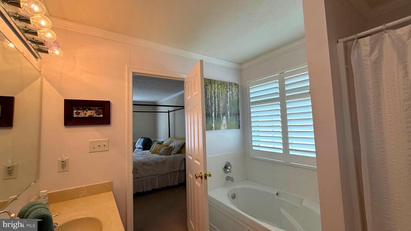 23 Whiskers Way photo 36