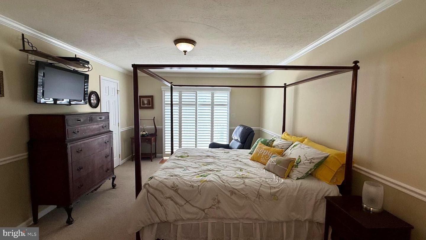 23 Whiskers Way photo 38