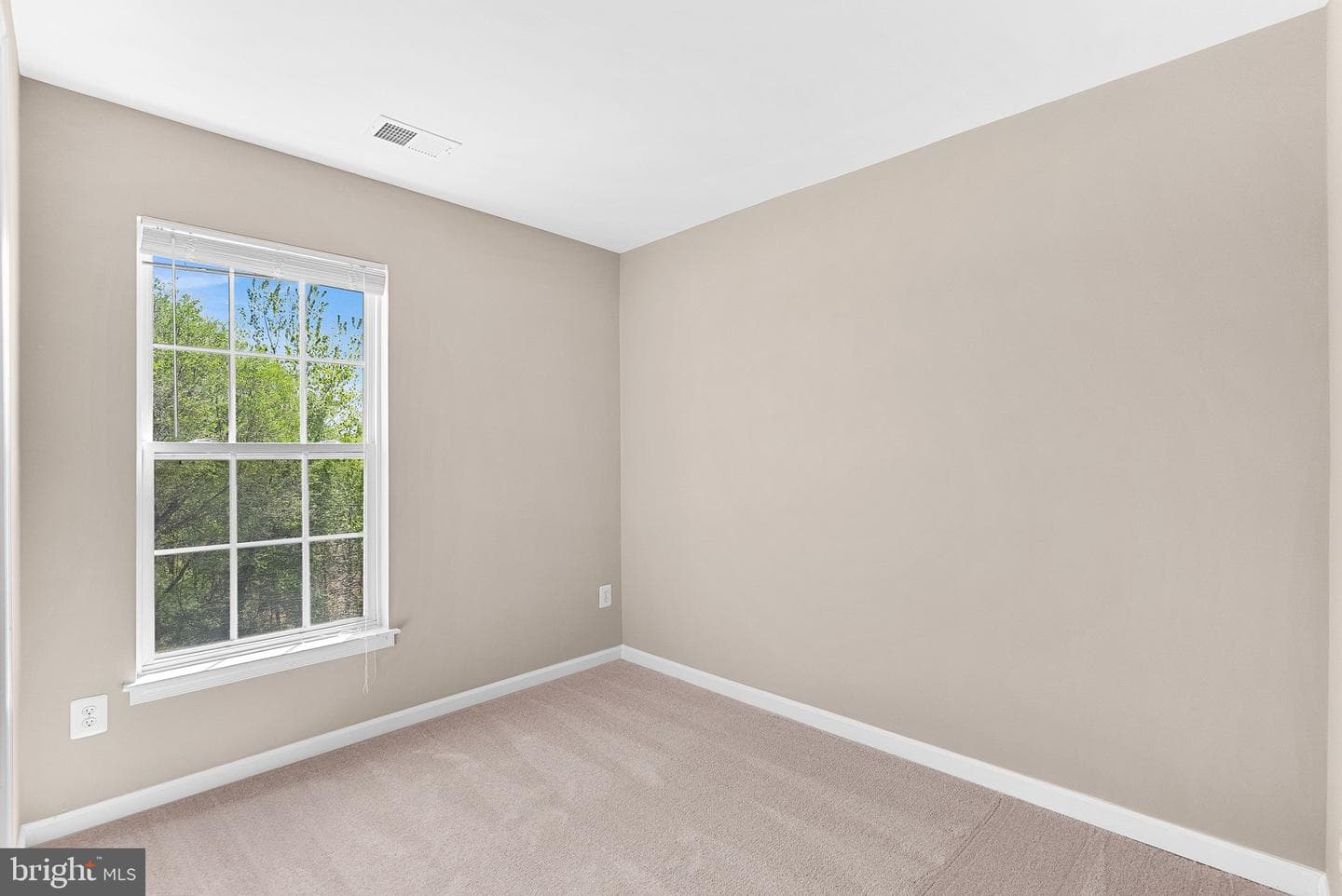 1339 Mare Street photo 31