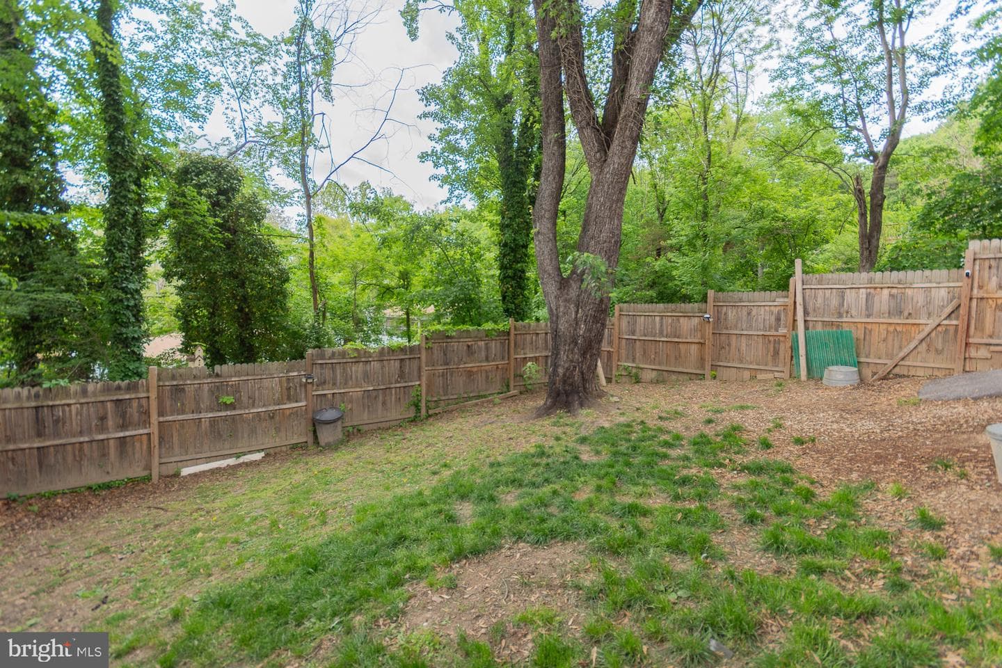 475 Gray Fox Road photo 41