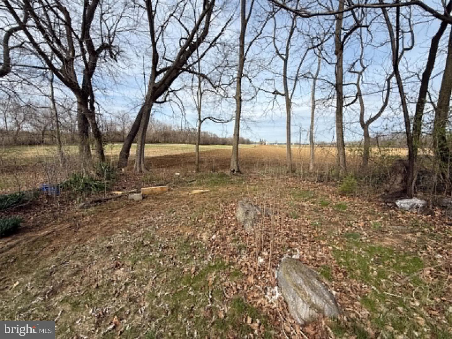 376 Logie Ln photo 12