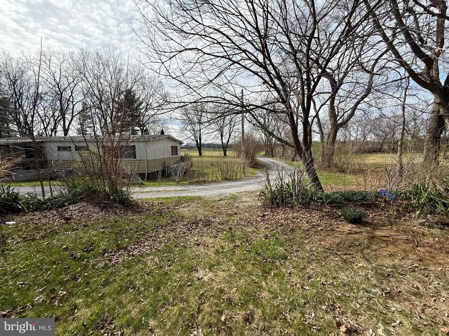 376 Logie Ln photo 4