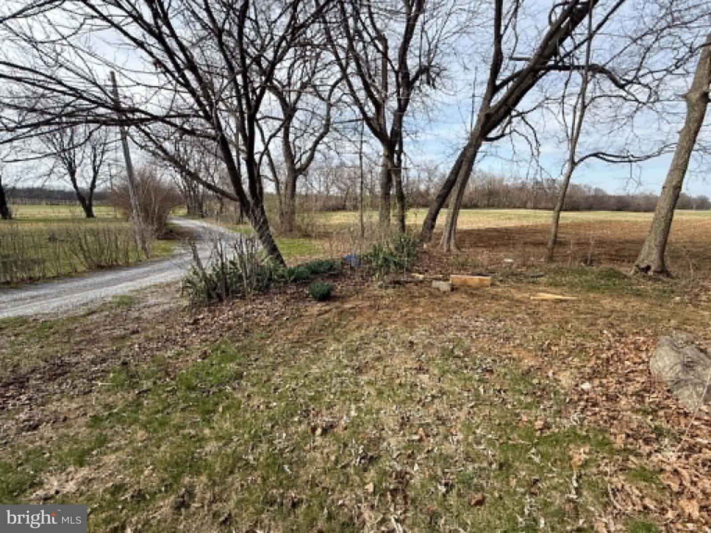 376 Logie Ln photo 5