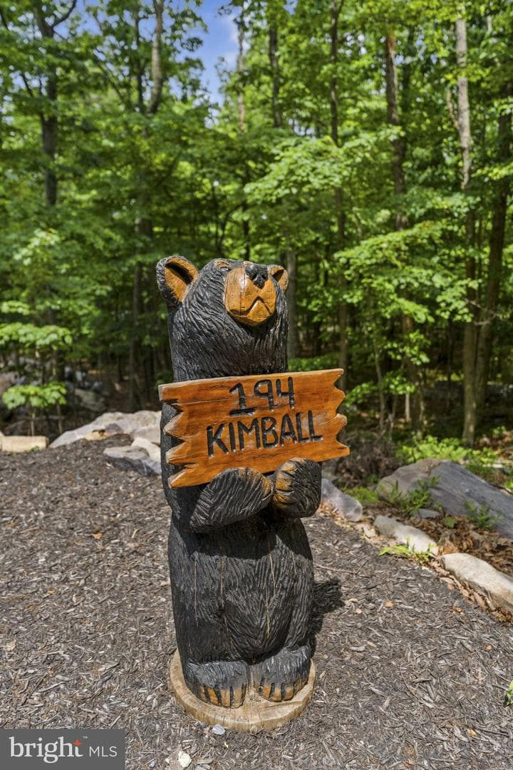 194 Black Bear Trail photo 2