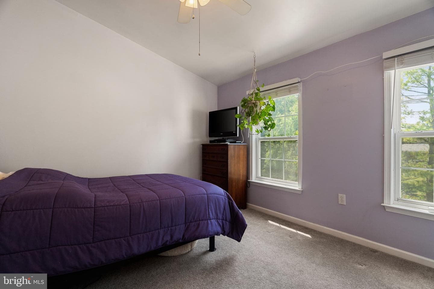 101 Eldon Drive photo 13