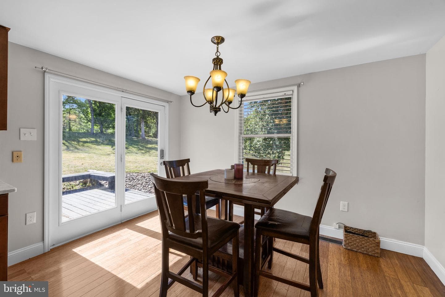 365 Shadowhawk Lane photo 4