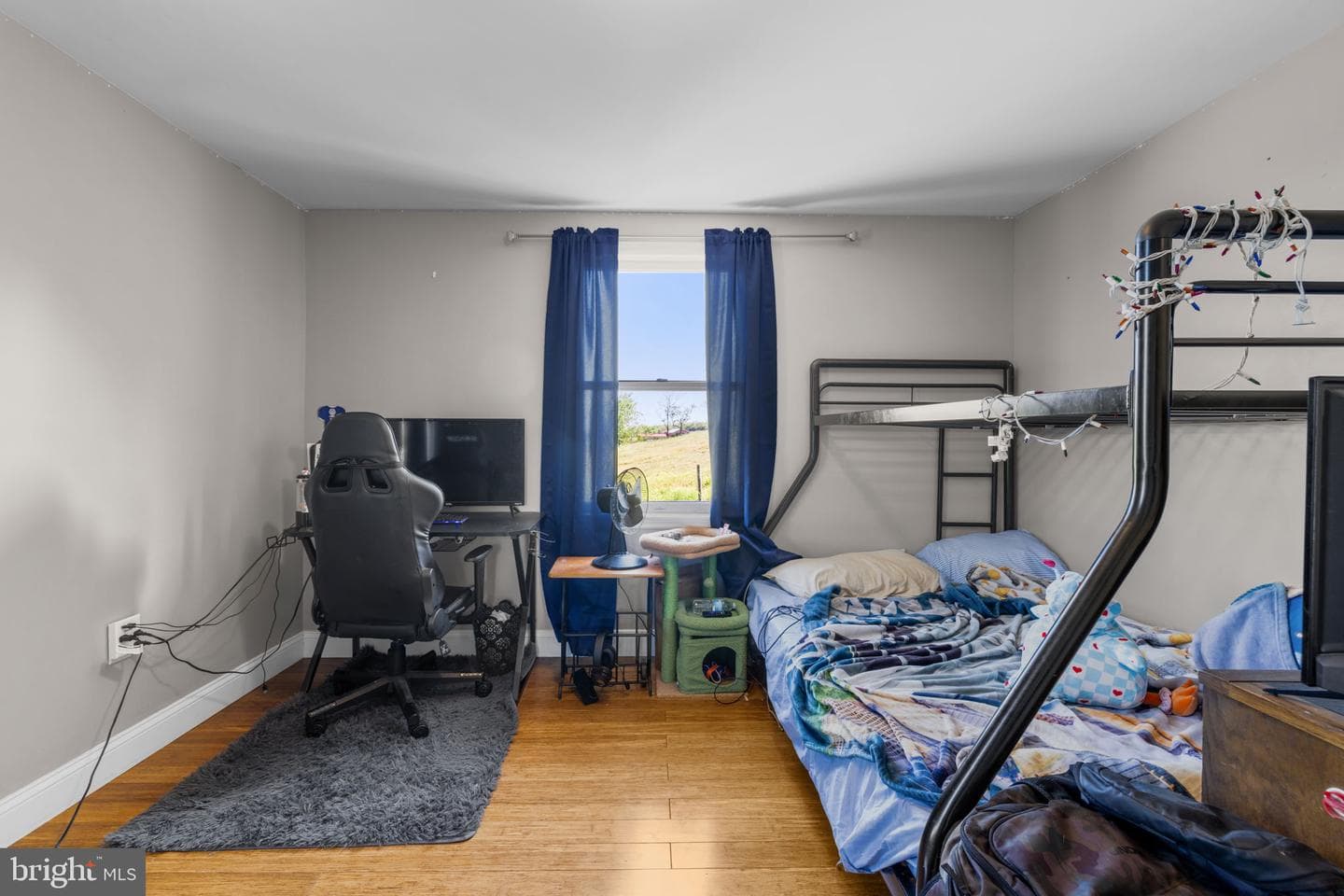 365 Shadowhawk Lane photo 52